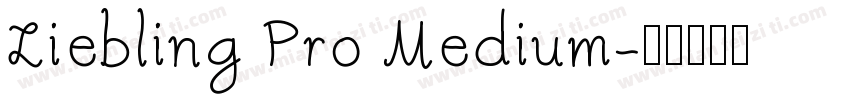 Liebling Pro Medium字体转换